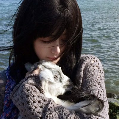 新手奶爸海报