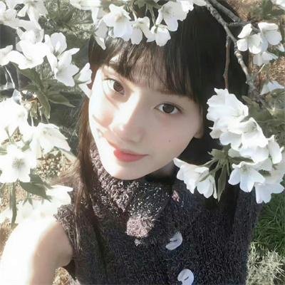 牡丹花血案海报