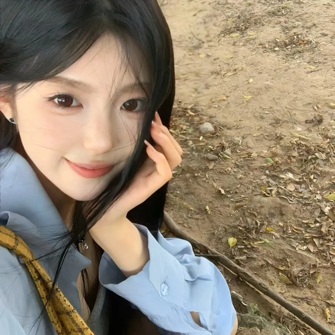 公猫海报